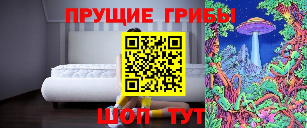 Тосно  Псилоцибиновые грибы мицелий  Псилоцибиновые грибы мицелий  Вход с VPN 