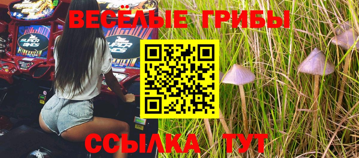 Псилоцибиновые грибы мицелий Тосно